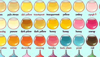 Signification des couleurs de l’urine